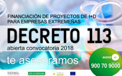 DECRETO 113 AYUDAS PARA PROYECTOS I+D