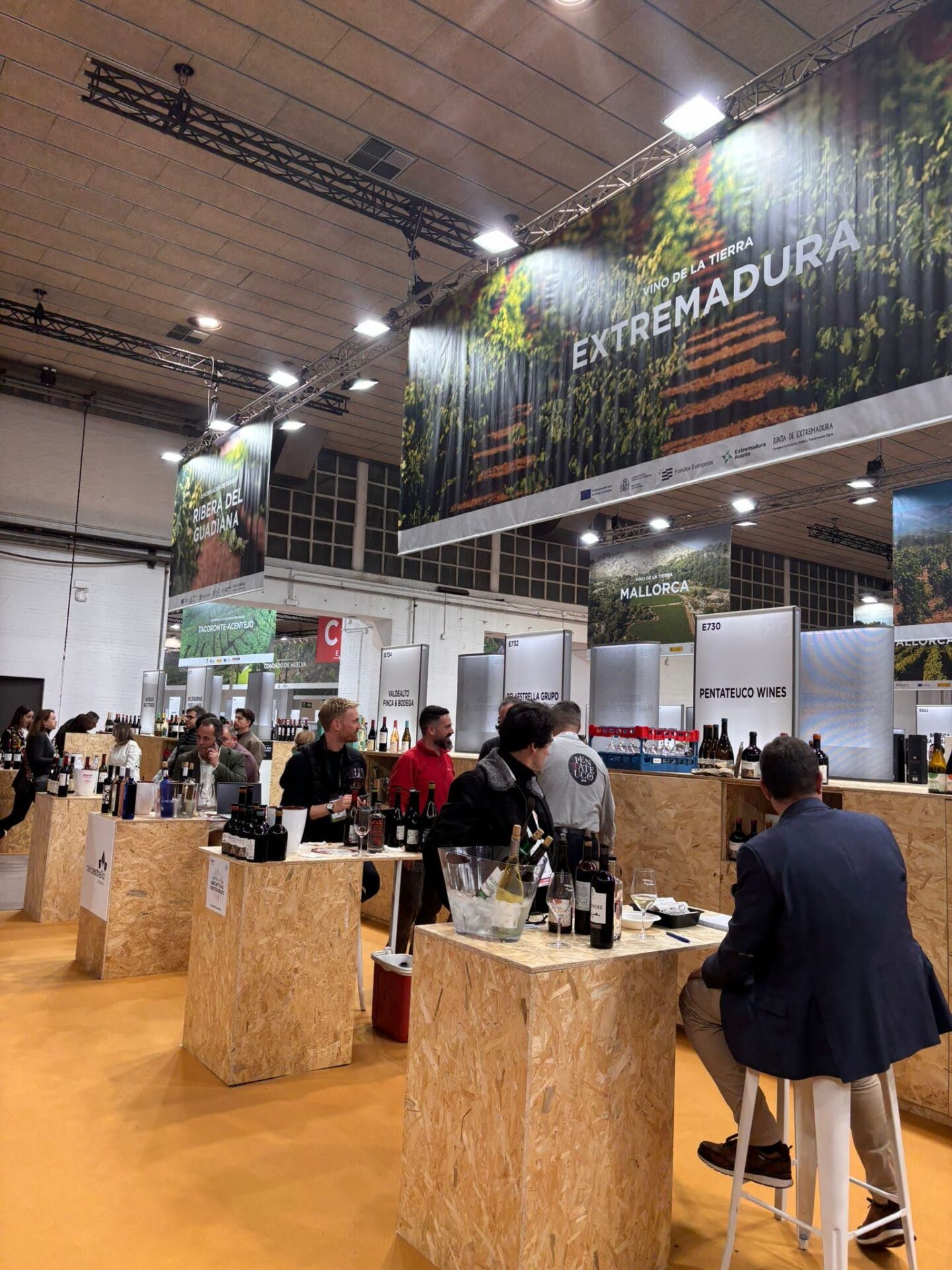 Feria de vinos en Extremadura, España.