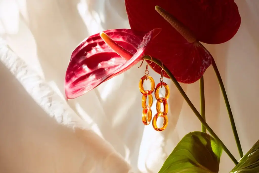 Pendientes naranjas colgando de flor anthurium roja